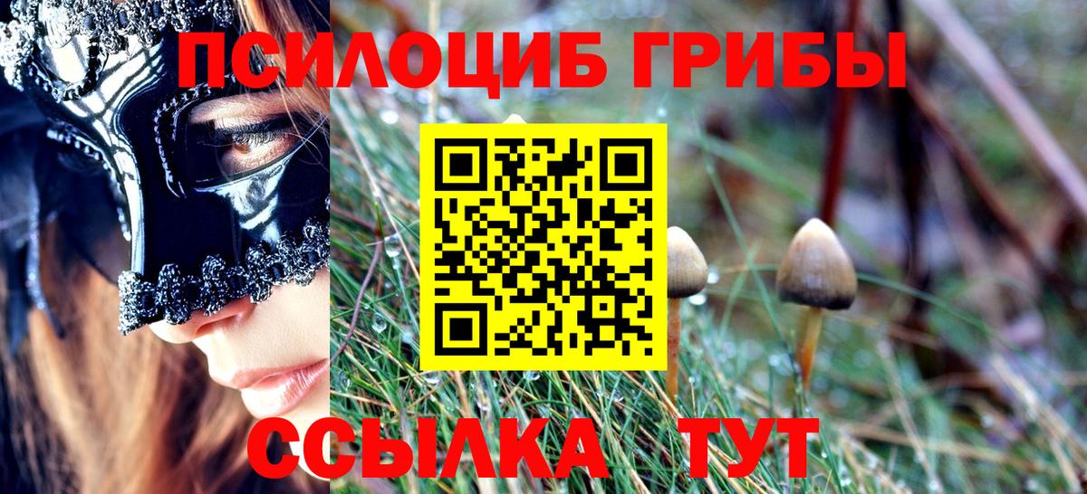 Галлюциногенные грибы мицелий Корсаков