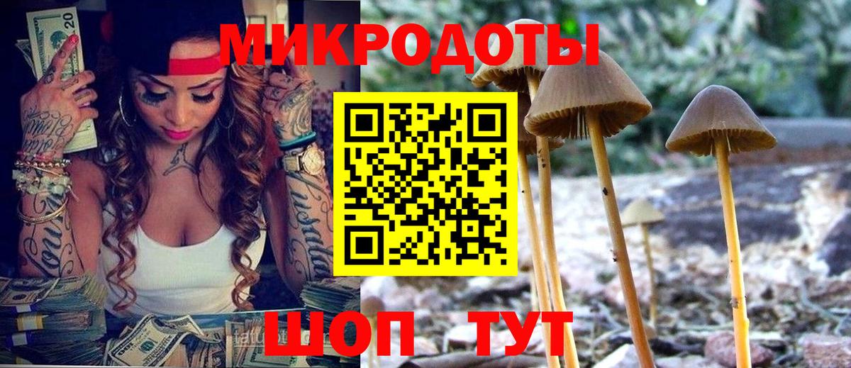 Псилоцибиновые грибы GOLDEN TEACHER  Вход с VPN  Корсаков 